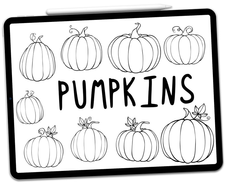 Procreate Pumpkin Stamps Pumpkin Stamps Procreate Stamp Etsy