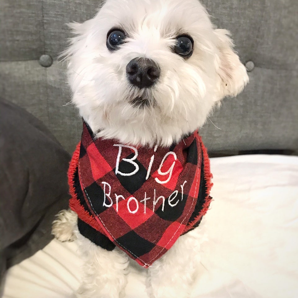 Personalized Plaid Dog Bandana