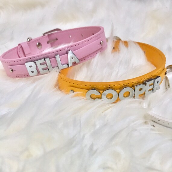 Dog collar hotsell letter charms