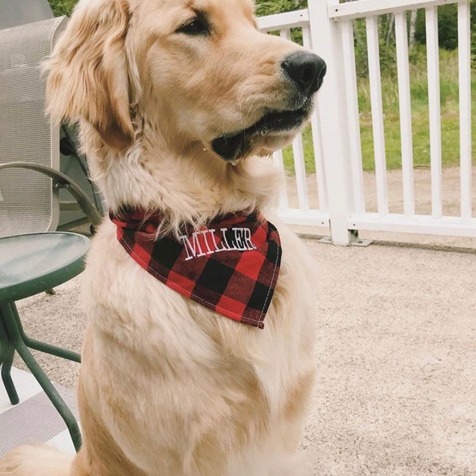 Personalized Plaid Dog Bandana