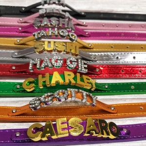Personalized Dog or Cat Collar