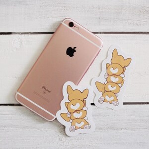 Corgi butts