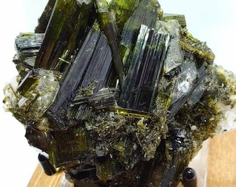 May include: A cluster of dark green crystals, possibly tourmaline, with a glassy luster. The crystals are arranged in a radial pattern, mounted on a clear acrylic stand and a wooden base. The mineral specimen is displayed against a white background.
