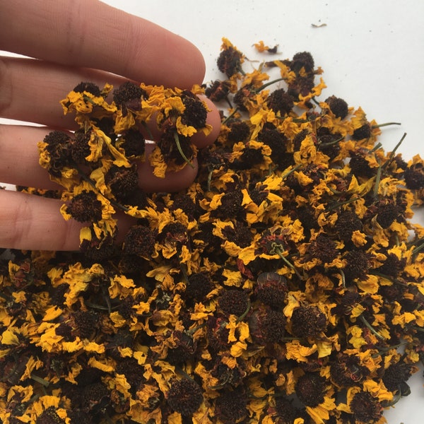 Coreopsis Flowers, 1/2 or 1 oz Dried Dyers Coreopsis Flowers for Natural Dye, Craft Supply, USA Homegrown