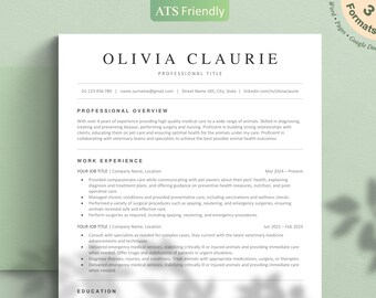 ATS Resume Template: Minimalist CV for Word, Pages, Google Docs (Cover Letter Included)