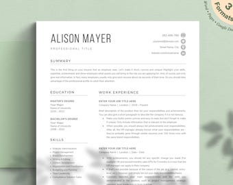 Modern Resume Template, Editable CV Design (Google Docs, Word, Pages)