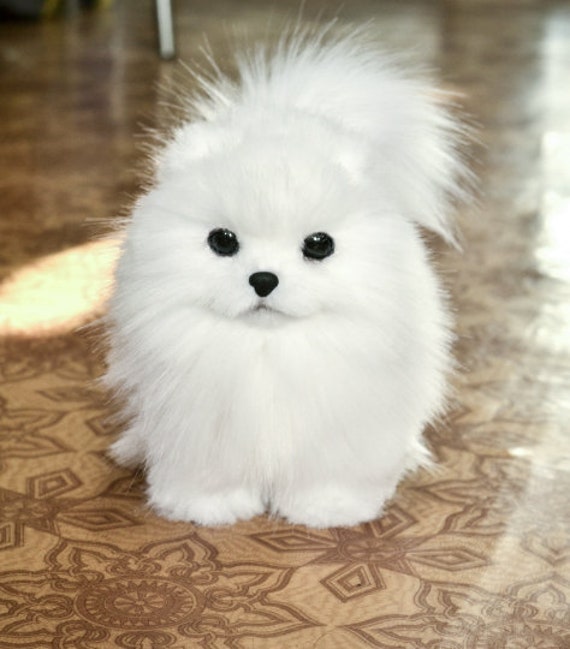 Pomeranian,Spitz,puppy,Toys Dog, Toys handmade, Stuffed,Animals and plush.OOAK,artDoll animal,kawaii plush,Teddy,black Friday