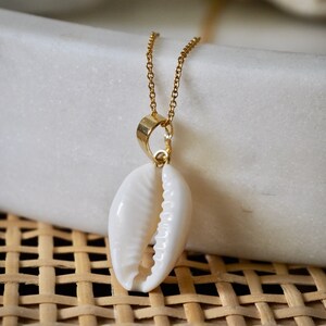 Cowrie Shell Necklace, Gold Filled Seashell Necklace, Mermaid Necklace, Beach Necklace image 3