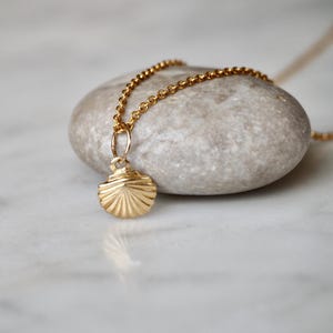 14k Gold Filled Shell Necklace: Dainty Sea Clam Pendant