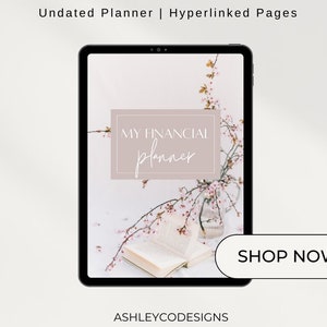 Financial Planner | Digital Budget Planner | Printable | Minimalist | Budget Planner | Undated Planner