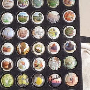 Cápsulas/muselets de champán francés, lote de 50 unidades, todas genéricas, sin duplicados.