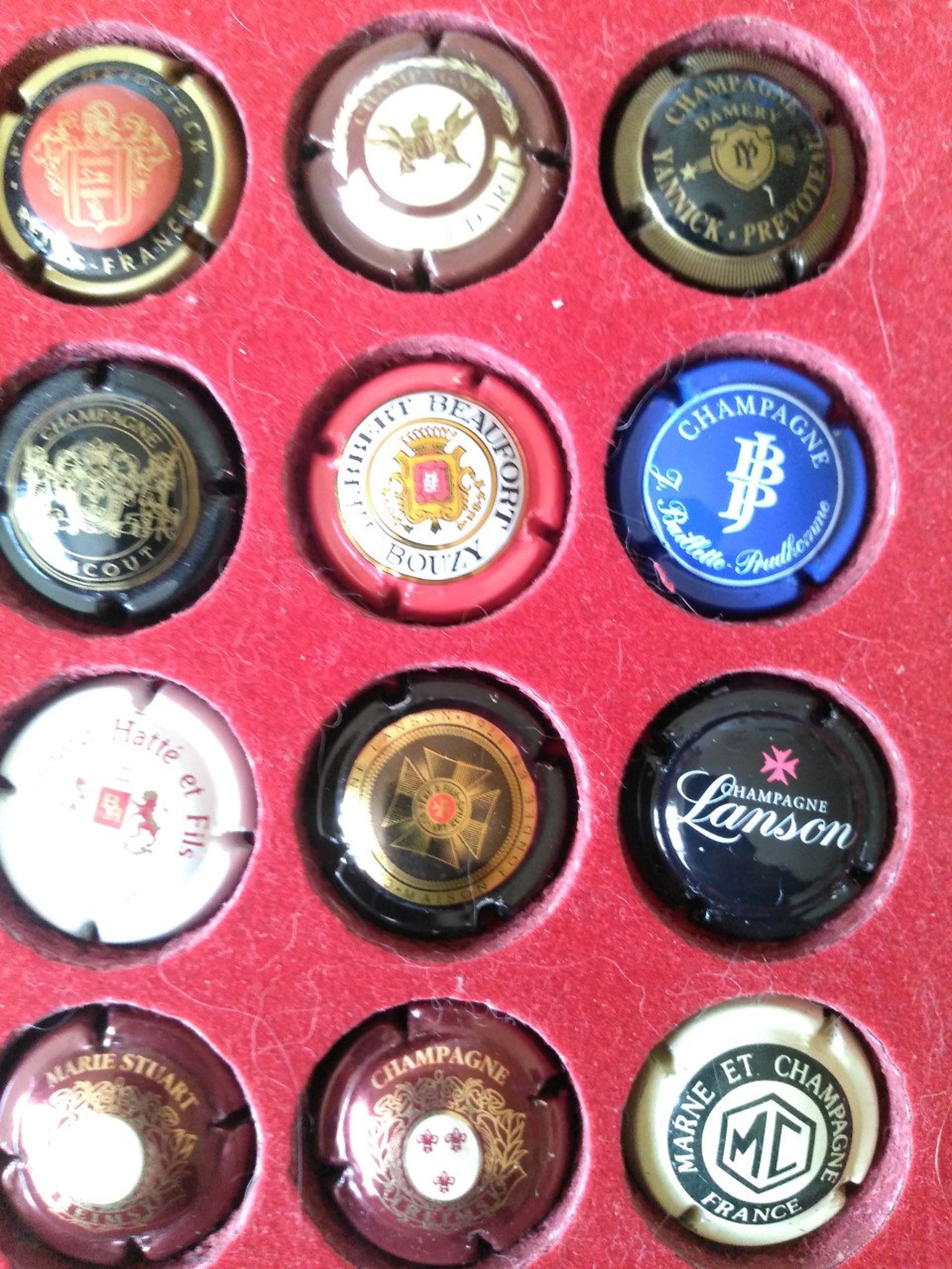 40 Capsules Muselets De Champagne Tous Différents - Collection Philantologie - Plateau Velours Rouge
