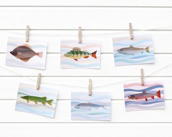 Può includere: Sei illustrazioni colorate di diverse specie di pesci, ciascuna stampata su una carta bianca con un motivo ondulato blu, verde e rosa, sono appese a una parete di legno bianca con mollette.