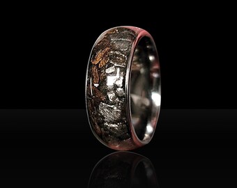 Tyrannosaurus Rex Dinosaur & Nantan Meteorite Wedding Band - Cupola