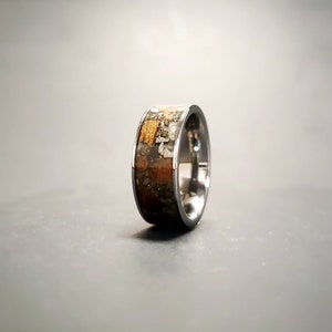 Arctic Rex Authentic T-rex Fossil and Meteorite Wedding Band - Etsy