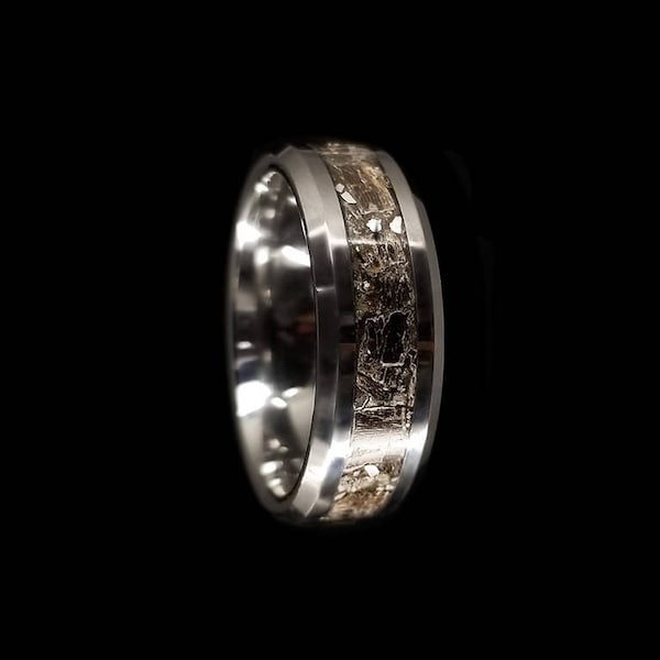 Tyrannosaurus Rex, Meteorit Ring, 8mm, Wolfram Ehering, Männerring, Fossiler Ring, T-Rex Ehering, Wolfram Inlay, Dinosaurier Knochenring