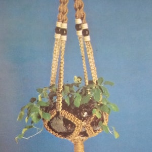 May include: A macrame plant hanger made with brown and white rope and black beads. The hanger is holding a small potted plant with green leaves.