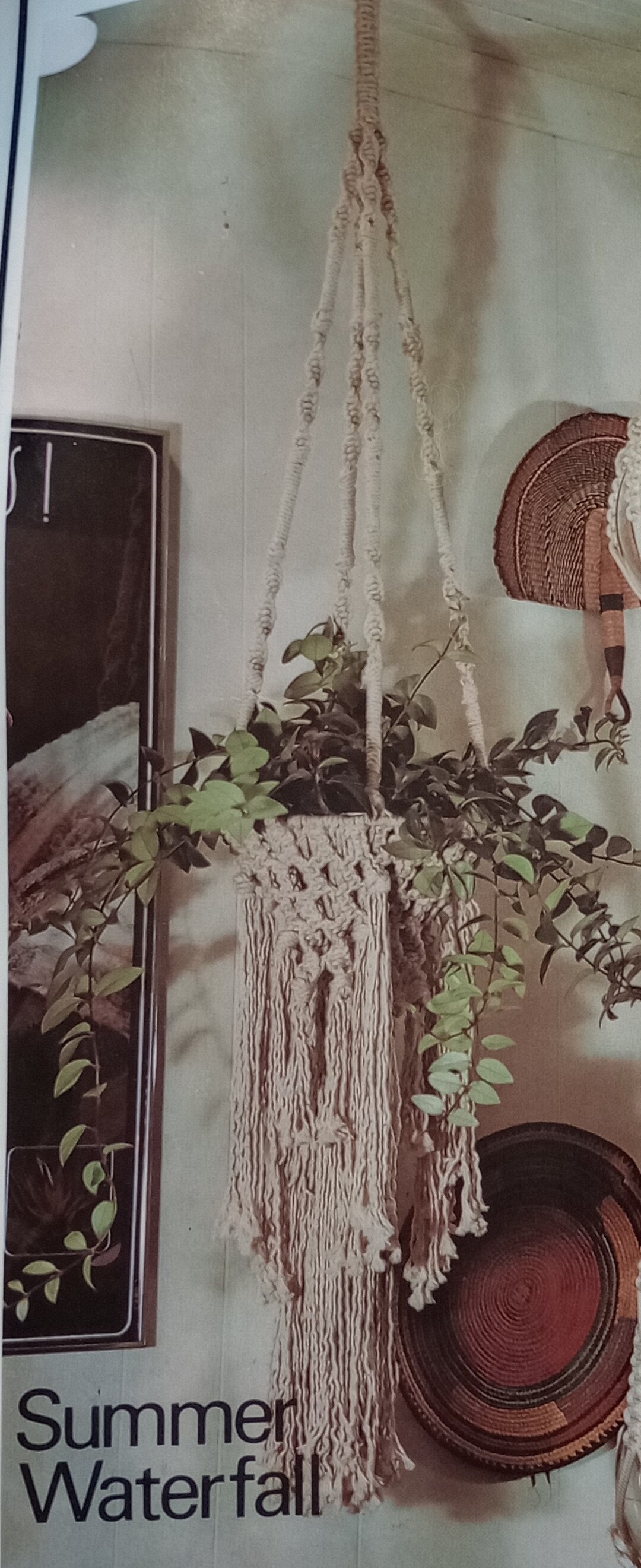 70 S Macrame Plant Hanger