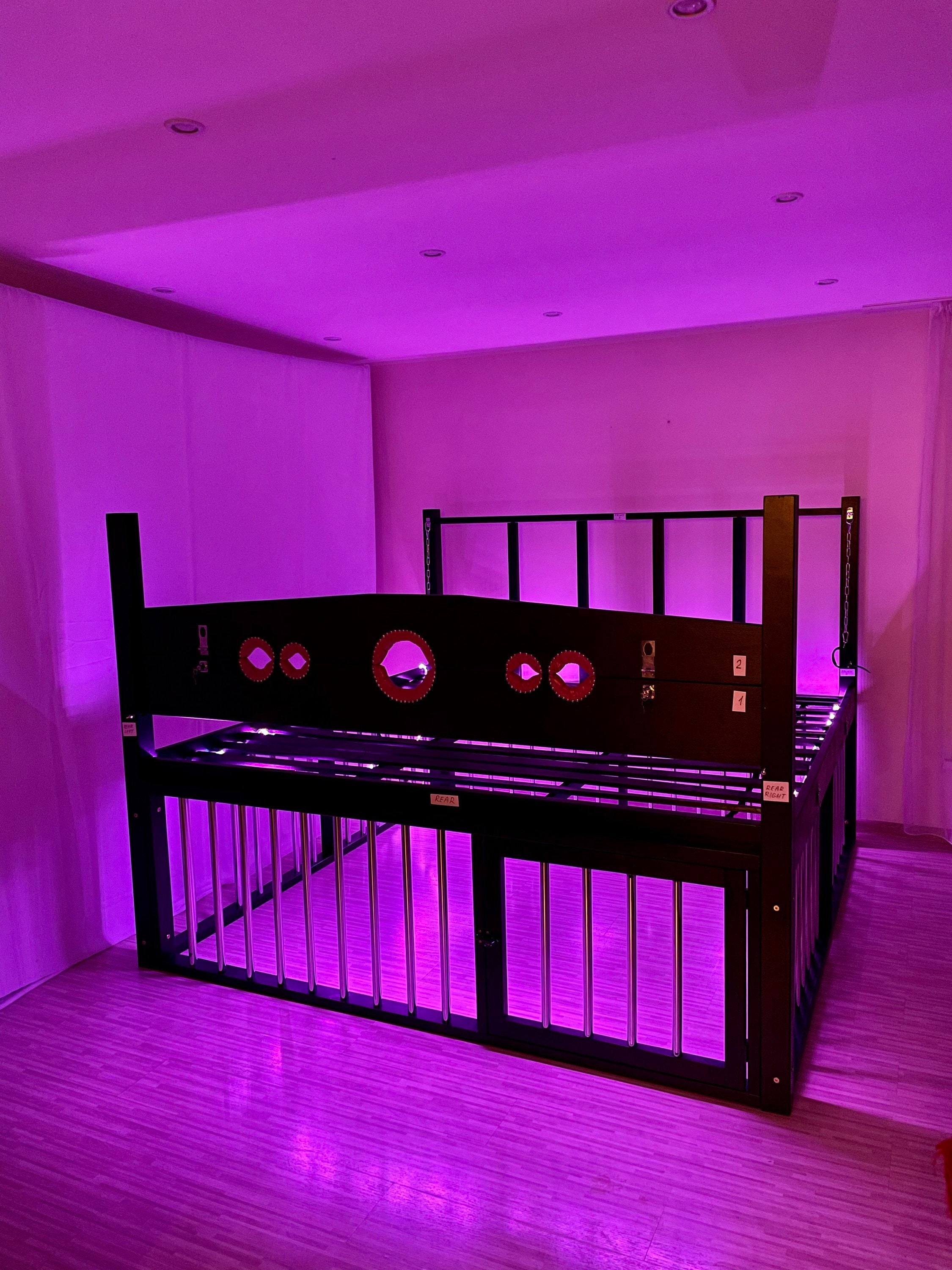 Bondage Bed With Cage and Light Bedroom Fetish Bed Fetish Toys