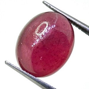 Può includere: Una gemma cabochon di forma ovale, di colore rosso intenso, tenuta da una pinzetta in metallo argentato. La pietra presenta una superficie liscia e lucida con un riflesso di luce visibile sulla parte superiore, mostrando una ricca tonalità.