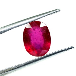 Op de afbeelding: Een levendige rode ovale edelsteen vastgehouden door een pincet. De edelsteen heeft een glad, gepolijst oppervlak en een diepe, rijke kleur.