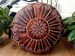Moroccan Tan dark Leather pouf with embroidered design, Ottoman ,Footstool Leather Round Poufs Pouffe Pouffes puff - unstuffed Poof