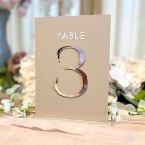Rectangle Acrylic Wedding Table Numbers: 3D Lettering
