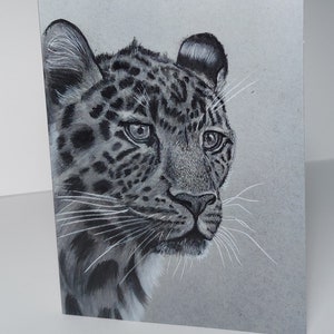 Leopard Greeting Card