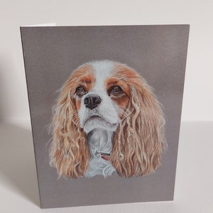 Kings Charles Spaniel Greeting Card