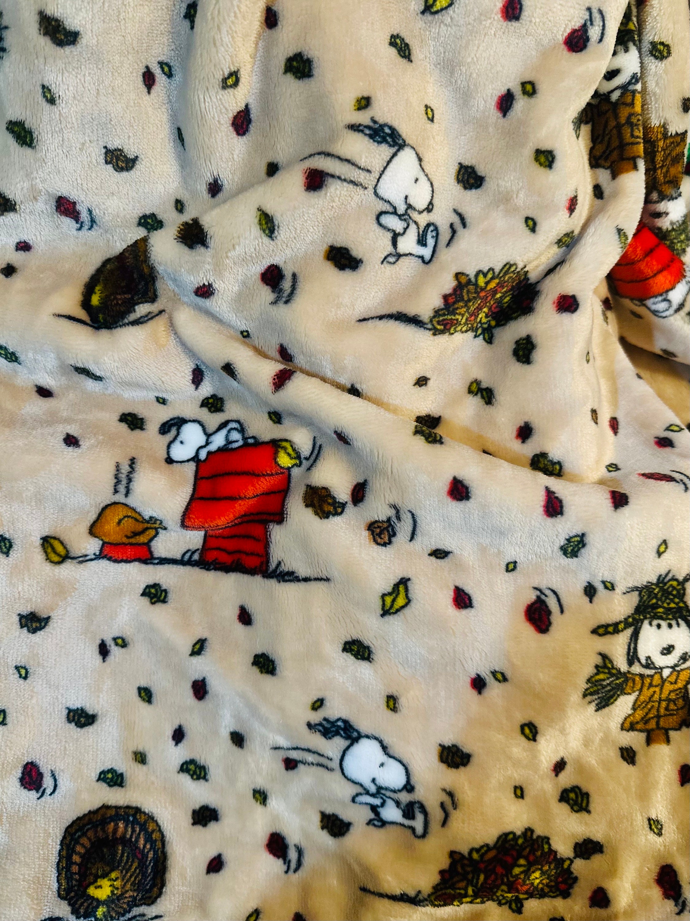 Snoopy thanksgiving online blanket