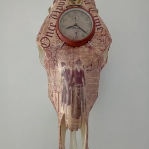 Cráneo de vaca genuino, cráneo de vaca pintado, cráneo de cuerno corto, reloj de cráneo, reloj de cráneo de arte, cráneo de toro, reloj de cráneo vintage.