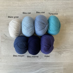 May include: Seven balls of yarn in various shades of blue, from white to dark blue, with one ball of white yarn. The yarn balls are labeled with their color names in French: Blanc gris&eacute;, Bleu ciel, Bleu clair, Turquoise, Bleu moyen, Bleu marine, and Violet.
