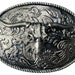 see more listings in the belt buckles section