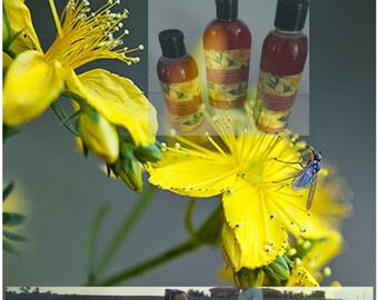 St' Johns Wort Oil Hypericum Perforatum (New Harvest) 1 item x 250ml Melianthus Greek