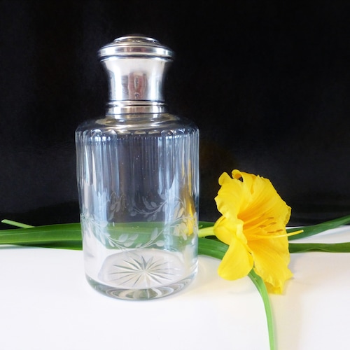 Vsonneuse Dapostves 24 X 36 COROR BELVÉDÈRE avec bote Vntage | eBay