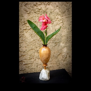 Puede incluir: Un jarrón de madera con un diseño único, con veta de madera natural y una base pequeña y redonda. El jarrón contiene una sola flor rosa con hojas verdes.