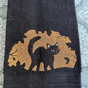 black cat