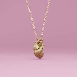 Anatomical heart pendant in brass