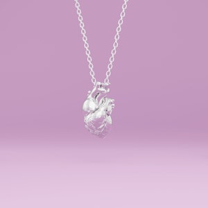 Sterling silver version of the anatomical heart pendant