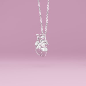 Anatomical heart necklace in silver