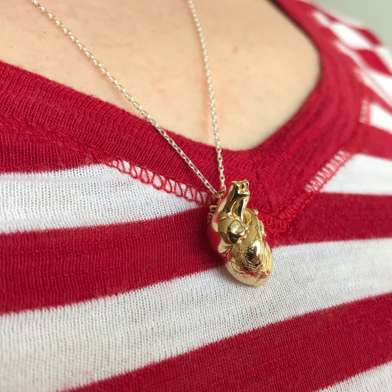 Detail of an anatomical heart model pendant.