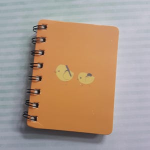 May include: A small orange spiral-bound notebook featuring a graphic of two yellow chicks on the front cover. The notebook has a black metal wire binding along the left side and a smooth, solid orange cover with rounded corners.