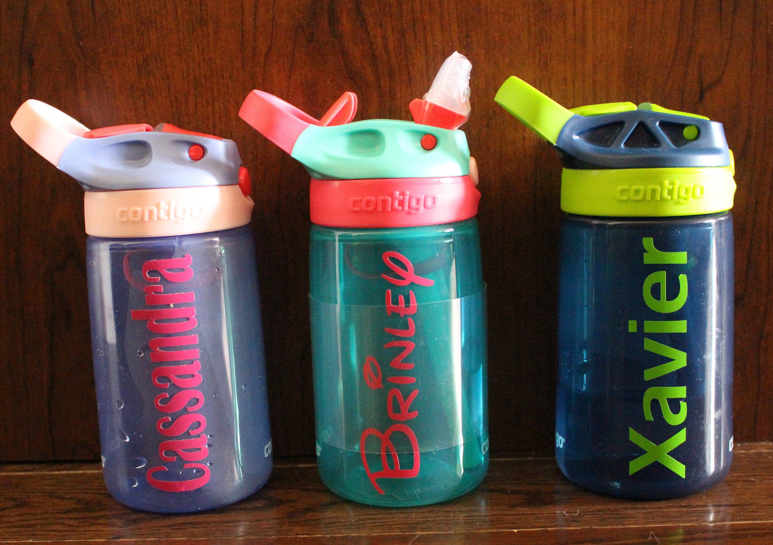 Contigo Water Bottle for Kids Decal, Dinosaur Decal , Personalized Water  Bottledecal, Personalized Sippy Cup, Dinosaur Waterbottle Decal 