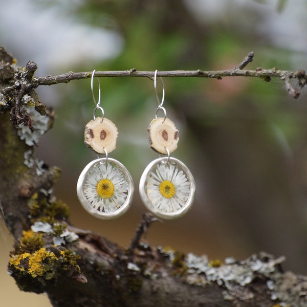 Hängeohrringe mit echter Blume - Gänseblümchen, Sterling Silber, Blütenohrring , Damen Schmuck , 925 Silber, Unikat, Blumenschmuck