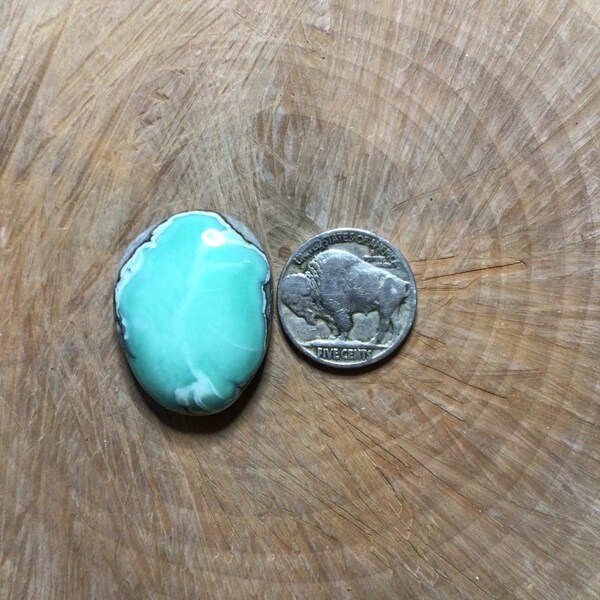 Desert Bloom Variscite Cabochon Etsy