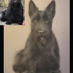 Scottish Terrier proprietario del cane di animale domestico Maglietta