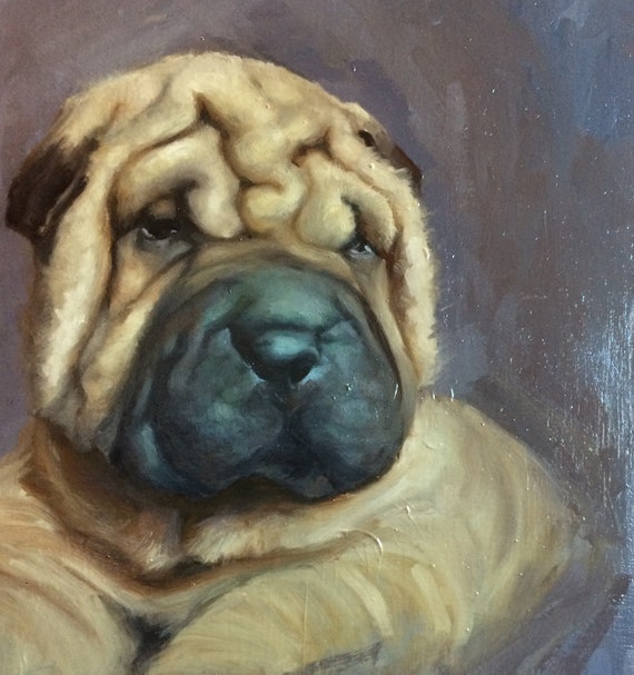 original shar pei dog