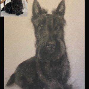 Scottish Terrier proprietario del cane di animale domestico Maglietta