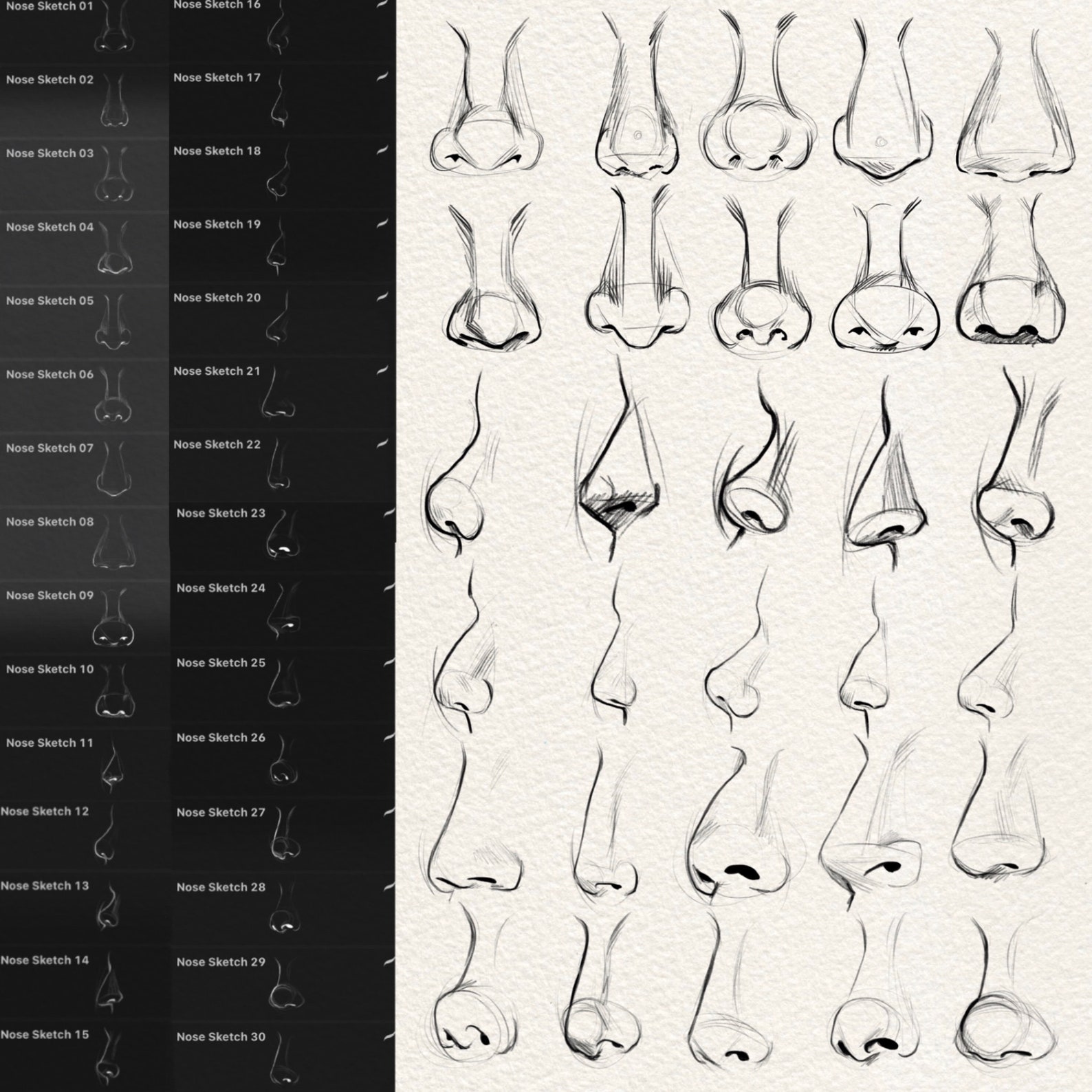Procreate Nose 30 Nose Sketch Brushes (FOR PROCREATE) Easy Stamp Brush, Pencil ...