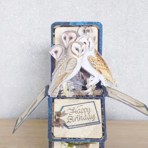 Personalised Happy Birthday Owl Card For Him